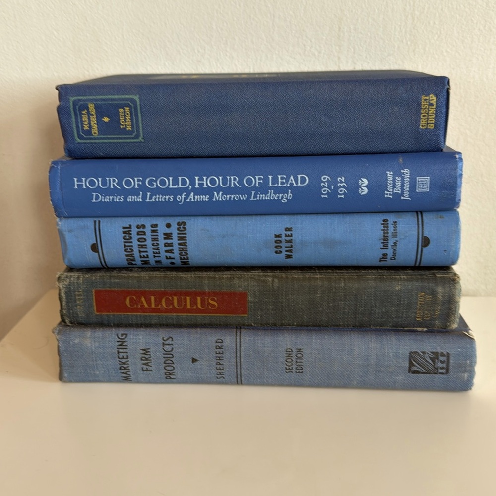 Vintage Book Decor Light Blue